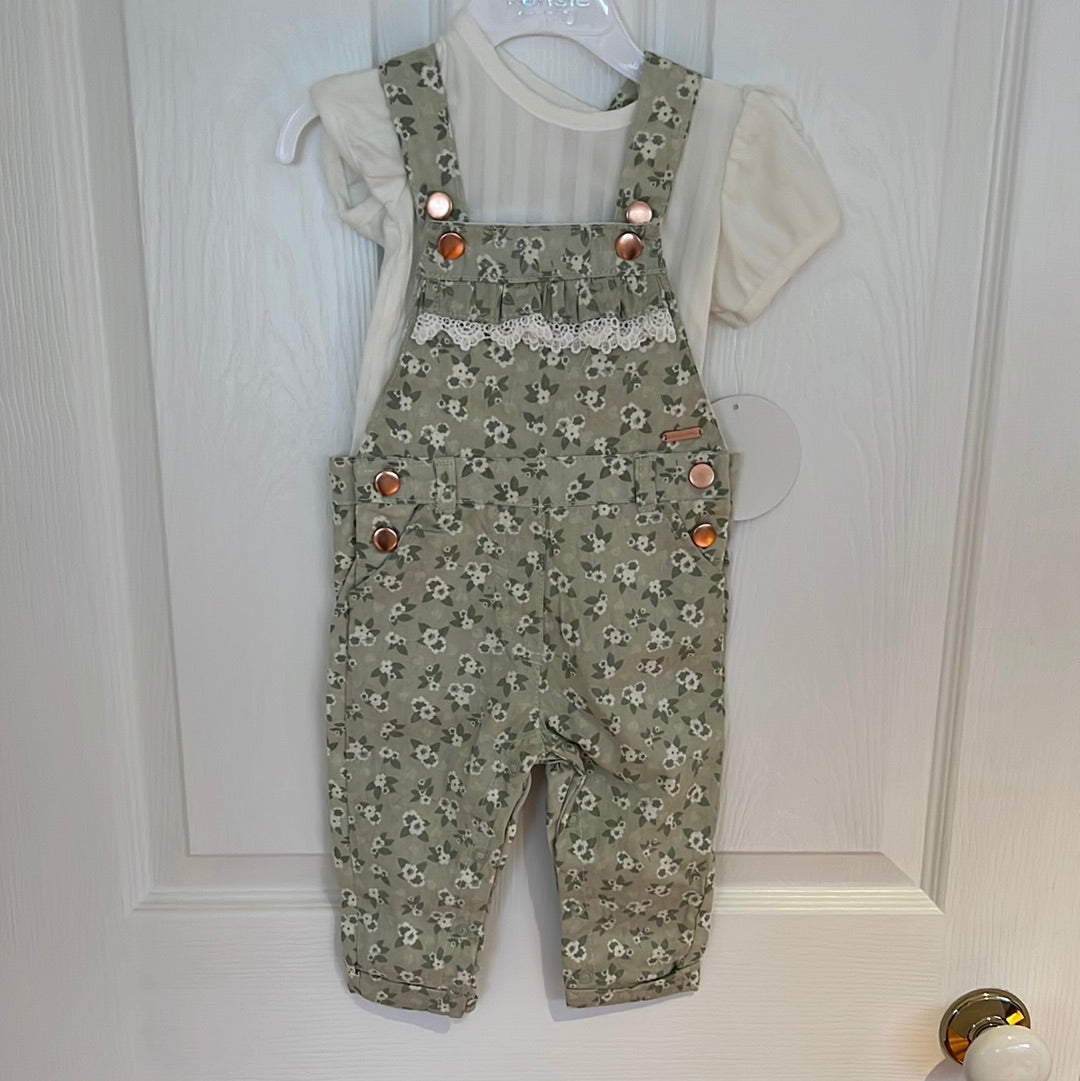 Overalls & T Shirt Set